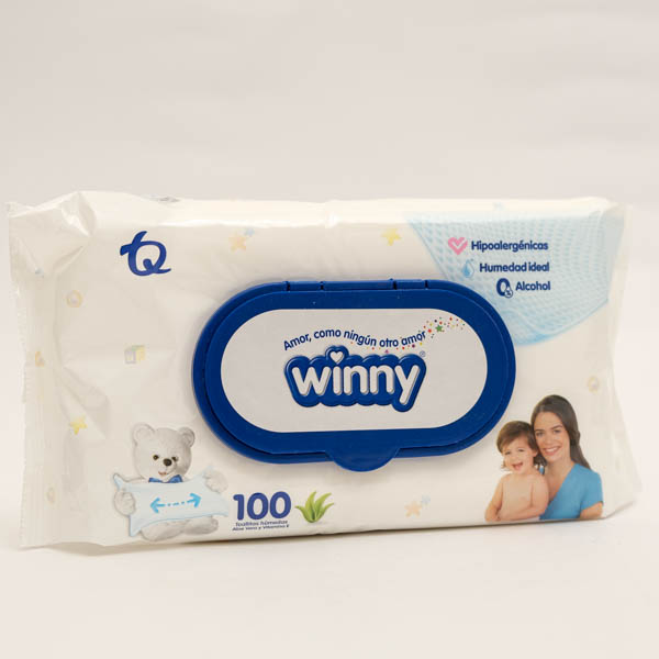 TOALLITAS WINNY ALOE X 100 MK