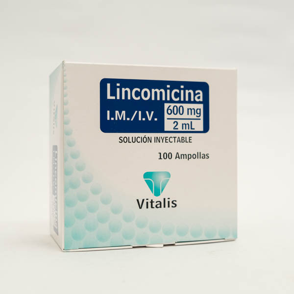 LINCOMICINA AMP 600MG X 100 VITALIS