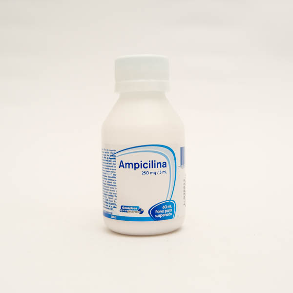 AMPICILINA SUS 250MG X 60  PC