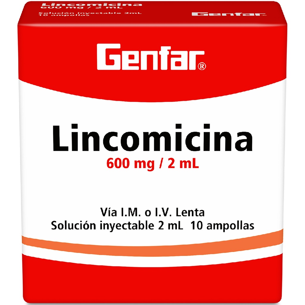 LINCOMICINA AMP 600MG X 10 GF